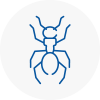 Ant Removals In Tiverton