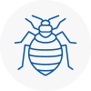 Bed Bug Extermination In Tiverton