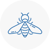 Bee Nest Removal Tiverton