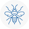 Tiverton Hornet Nest Removals