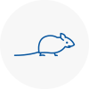 Mice Exterminators In Tiverton