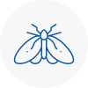 Moth Control Specialists In Tiverton