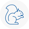 Tiverton Rodent Removals